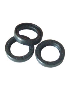 Retenes aceite serie 44 15 mm INTERPUMP