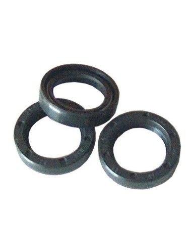 Retenes aceite serie 44 15 mm INTERPUMP
