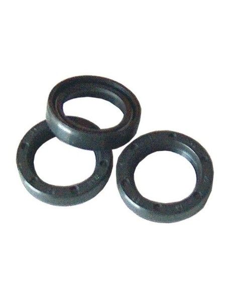 Retenes aceite serie 44 15 mm INTERPUMP