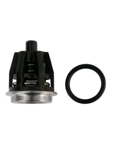 Válvula 20 mm serie 47 INTERPUMP