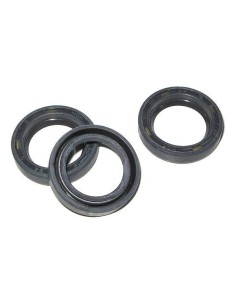 RETÉN DE ACEITE D.20mm SERIE 47 ø22x32x5,5  INTERPUMP