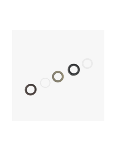 Retenes de agua 18 mm serie 66 INTERPUMP