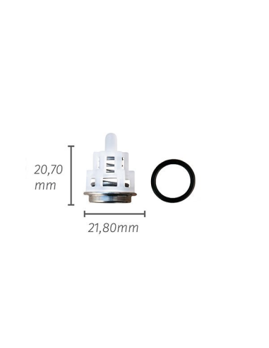 Válvula 20 mm serie 66 INTERPUMP bomba alta presión