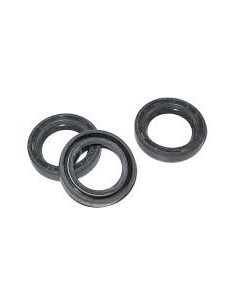 Reten de aceite D.18mm serie 66 ø22x32x5,5  INTERPUMP - Hidropres