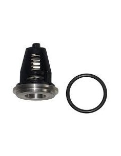 VALVULA D.20mm SERIE 69  INTERPUMP - Envío 24h - Hidropres