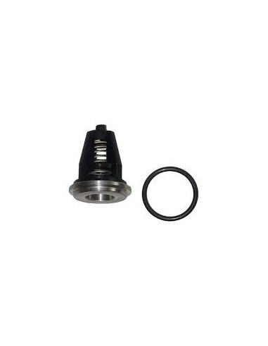 Válvula 20 mm serie 69 INTERPUMP bomba alta presión