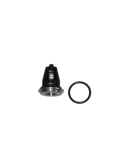 Válvula 20 mm serie 69 INTERPUMP bomba alta presión