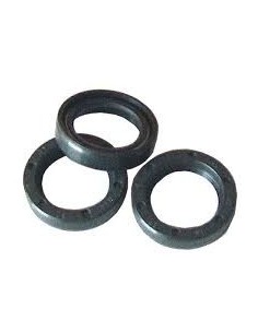 RETEN DE ACEITE D.20mm SERIE 69 ø35x42x7  INTERPUMP