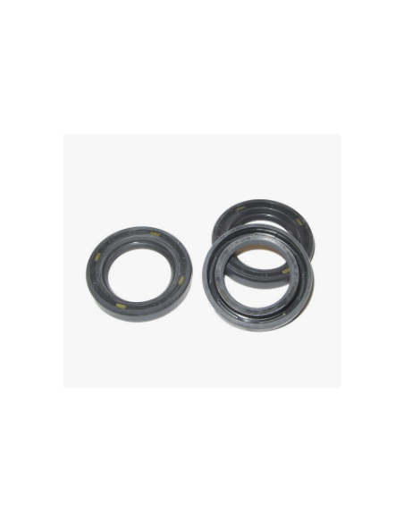 Retenes aceite COMET FW 5019 0219 1x3