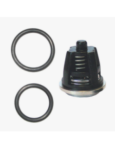 Valvulas COMET serie RW 5025 0011 3x6 - Envío 24h - Hidropres