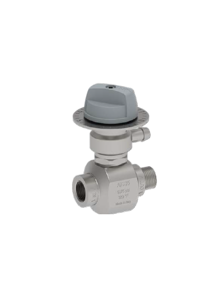 Inyector espuma inox con regulador