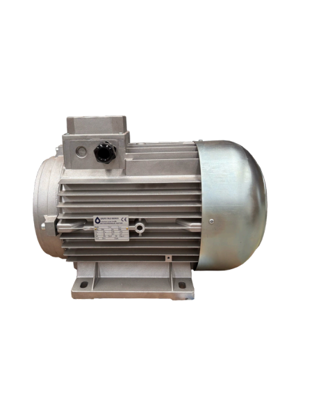 Motor hidrolimpiadora 3 hp 2.2 kw 230v 50 hz h100 b3 eje 24 hembra
