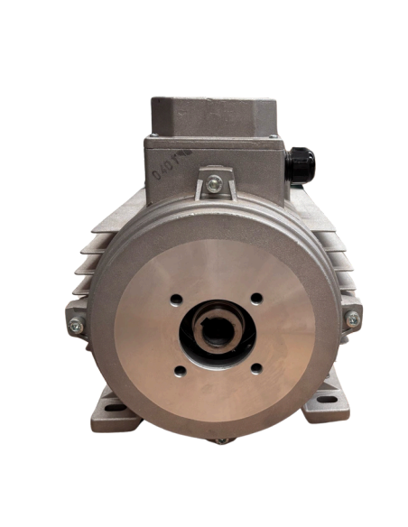 Motor hidrolimpiadora 3 hp 2.2 kw 230v 50 hz h100 b3 eje 24 hembra