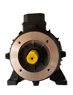 Motor 7,5 hp 5,5 kw 400v 50hz AC24 C90 eje 24 hembra- Máxima calidad 2