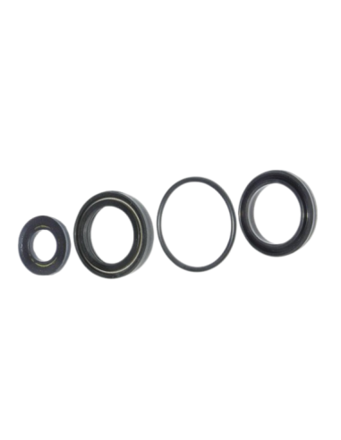 Kit anillos de retención serie C10 bomba CAT