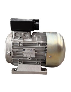 Motor hidroplimpiadora 3 HP, 2,2 KW, 50 Hz, 230 V, 1450 RPM, EJE H