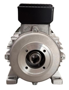 Motor hidroplimpiadora 3 HP, 2,2 KW, 50 Hz, 230 V, 1450 RPM, EJE H 2