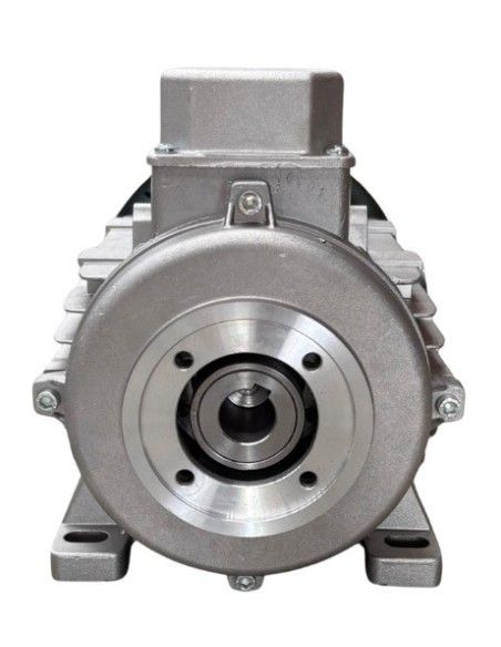 Motor hidrolimpiadora 5.5 HP, 4 KW, 50 HZ, 1450 RPM, 400 V, EJE HEMBRA