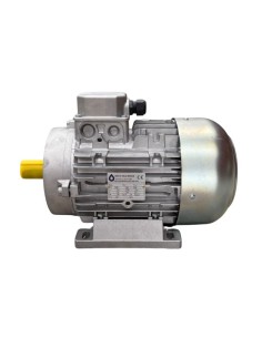 Motor hidrolimpiadora 5.5HP, 4 KW, 50 HZ, 1450 RPM, 400 V, EJE MACHO