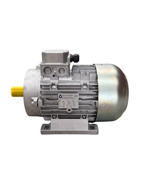 Motor hidrolimpiadora 5.5HP, 4 KW, 50 HZ, 1450 RPM, 400 V, EJE MACHO