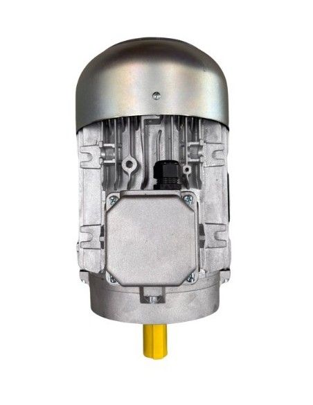 Motor hidrolimpiadora 5.5HP, 4 KW, 50 HZ, 1450 RPM, 400 V, EJE MACHO