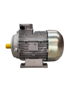 Motor hidrolimpiadora 7.5 HP, 5.5 KW, 50 HZ, 400 V, 1450 RPM, EJE M