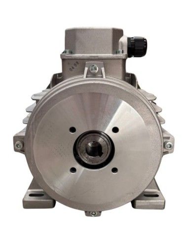 Motor hidrolimpiadora 10 HP, 7.5 KW, 50 HZ, 400V, 1450 RPM, EJE HEMBRA