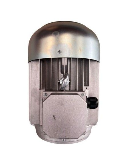 Motor hidrolimpiadora 12.5 HP, 9 KW, 50 HZ, 400V, 1450 RPM, EJE HEMBRA