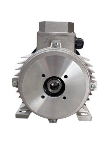 Motor hidrolimpiadora 12.5 HP, 9 KW, 50 HZ, 400V, 1450 RPM, EJE HEMBRA