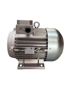 Motor hidrolimpiadora 12.5 HP, 9 KW, 50 HZ, 400V, 1450 RPM, EJE HEMBRA