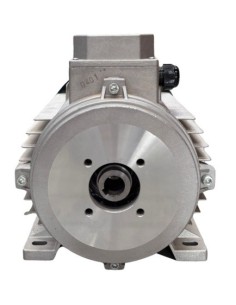 Motor hidrolimpiadora 15 HP, 11KW, 50HZ, 400V, 1450 RPM, EJE HEMBRA 2