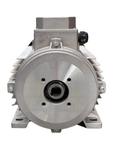 Motor hidrolimpiadora 15 HP, 11KW, 50HZ, 400V, 1450 RPM, EJE HEMBRA