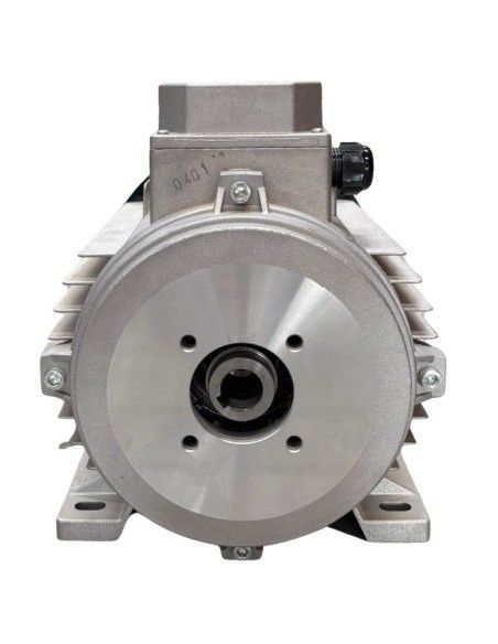 Motor hidrolimpiadora 15 HP, 11KW, 50HZ, 400V, 1450 RPM, EJE HEMBRA