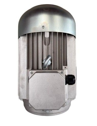 Motor hidrolimpiadora 15 HP, 11KW, 50HZ, 400V, 1450 RPM, EJE HEMBRA