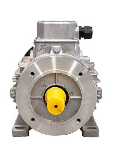 Motor Hidrolimpiadora  4HP 3KW 400V EJE MACHO 28