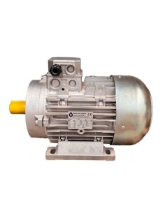 Motor Hidrolimpiadora  4HP 3KW 400V EJE MACHO 28