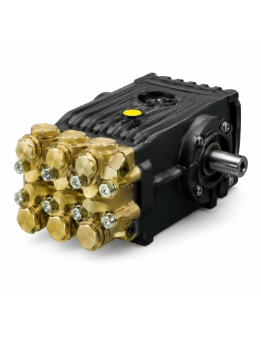 Bomba alta presión INTERPUMP WS151 150 bar 15 l/min
