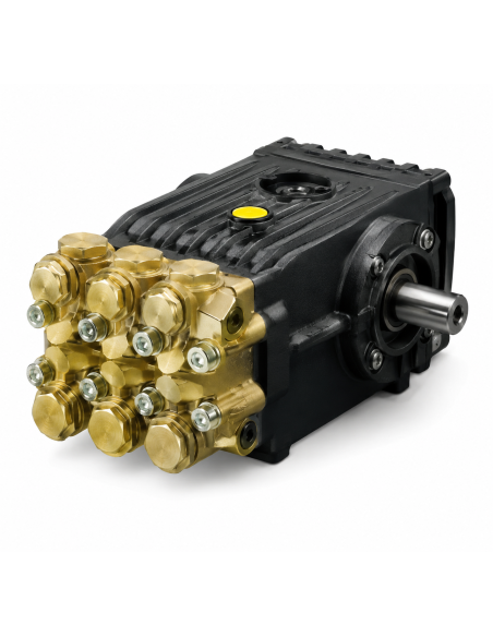 Bomba alta presión INTERPUMP WS151 150 bar 15 l/min