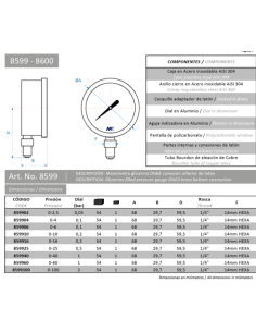 Manómetro fontanería DN63 mm 0-6 bar 2