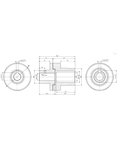 ACOPLAMIENTO ELASTICO HL Ø38-24 H100/112 2